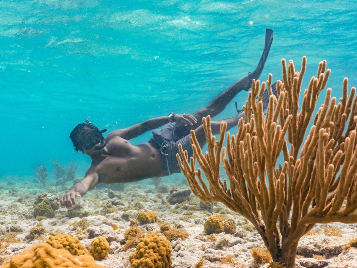 Snorkeling-at-Mangel-Halto-Groot