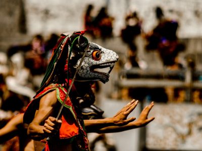 ujwal-hollica-34vn85GV6U-unsplash-groot